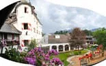 Garten & Terrasse Bild 13