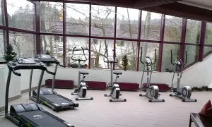 Fitnessarea